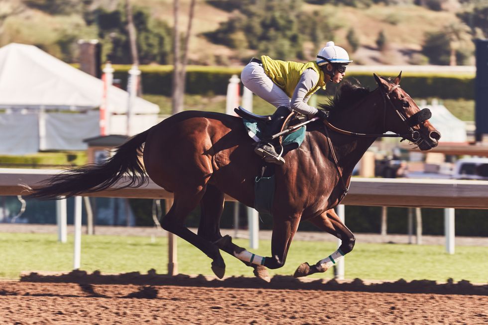 A Female Jockey Continues To Beat The Odds