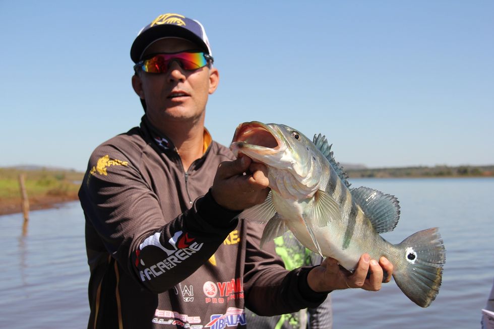 Hook, Line, And Sucker: Tournament Anglers Caught Cheating
