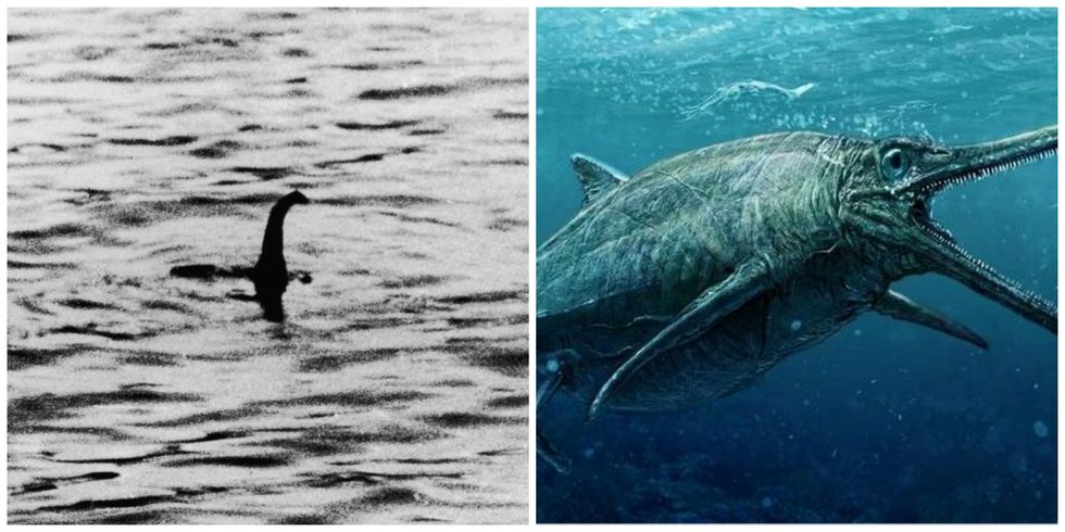 Scientists May Have Just Unveiled The Real Loch Ness Monster