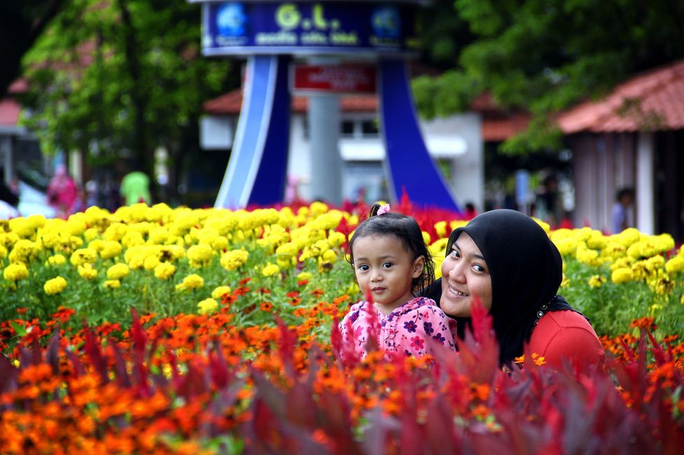 The Surprising Reason Your Twitter Feed Might Be Full Of Flowers