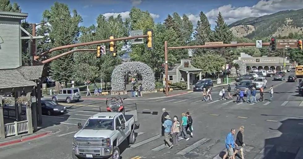 People Are Watching A Boring Live Stream In Wyoming For No Apparent Reason