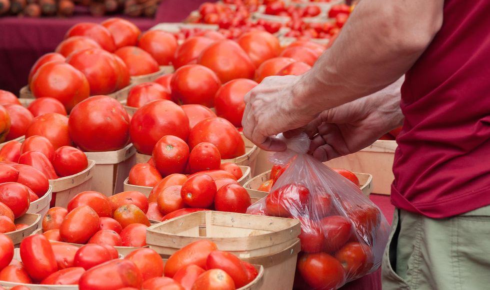 How To Pick A GOOD Tomato