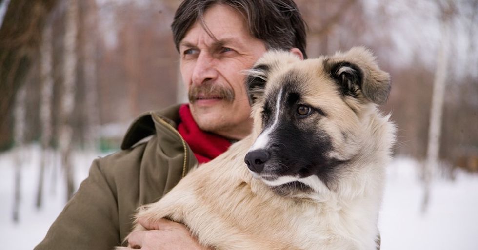 This Comic Will Leave You In Tears If You Love Your Pet
