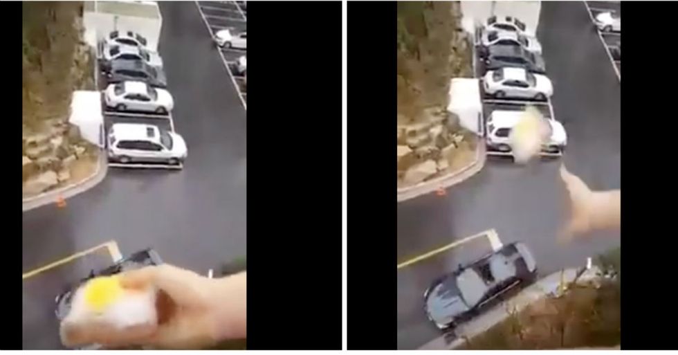 Woman Defies The Odds To Heroically Drop Sandwich Into Car Several Stories Below