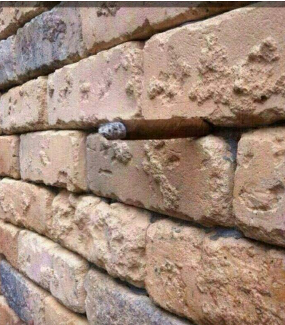 People Are Mesmerized By This Strange Optical Illusion