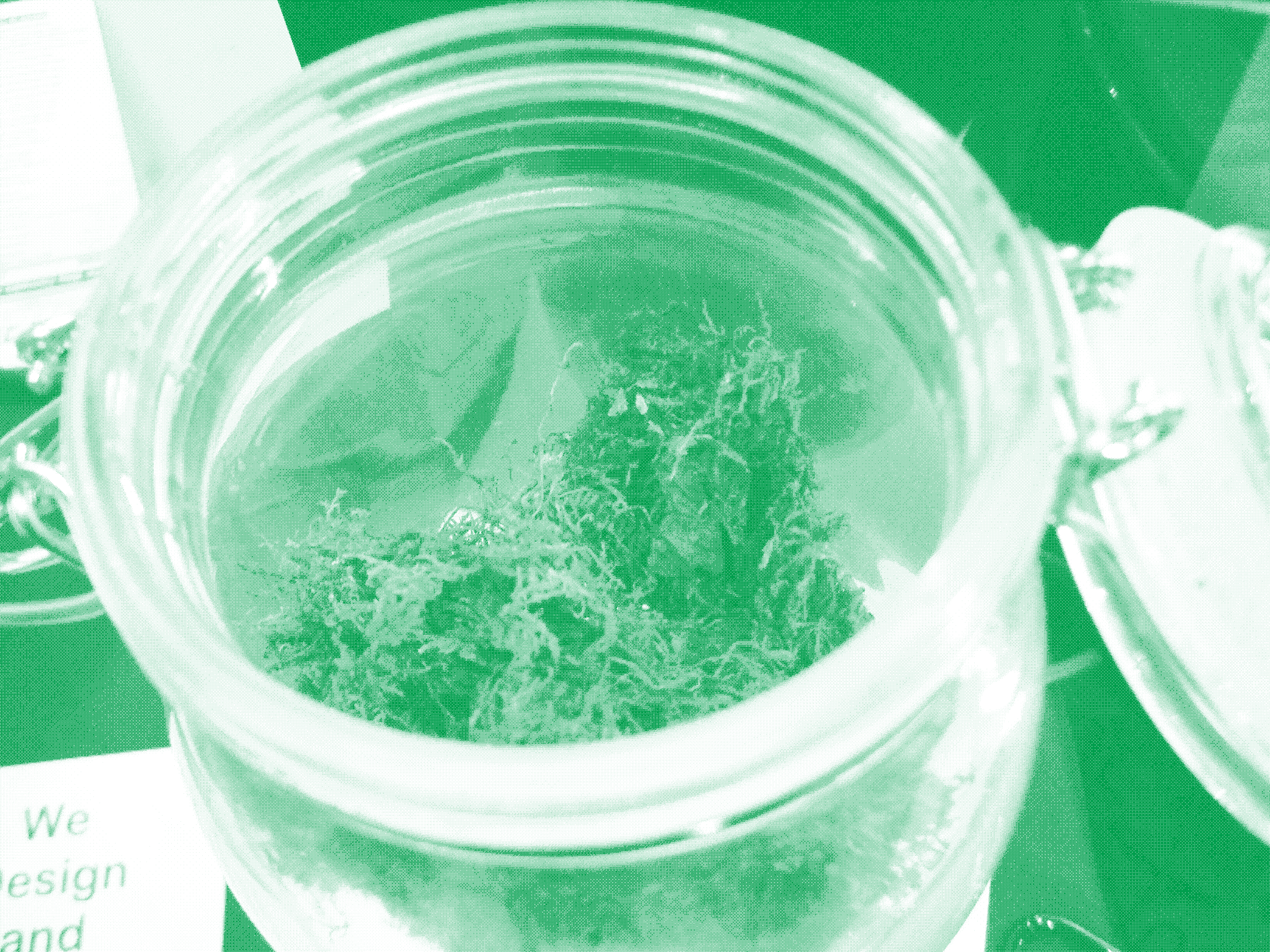 Even The Government Wants In On These Trailblazing Marijuana Research Programs