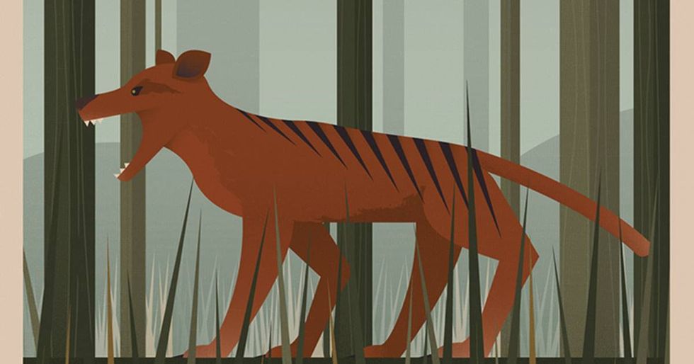 Unknown Tourism Commemorates Extinct Species With Vintage-Looking Posters