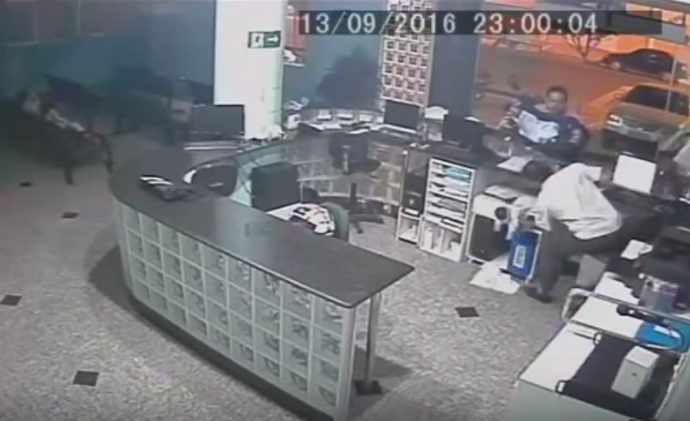 Random Act Of Sport: Brazilian Hospital Receptionist Saves Baby With One-Handed Catch