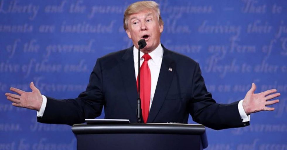 Twitter Mocks The Donald With #TrumpBookReport