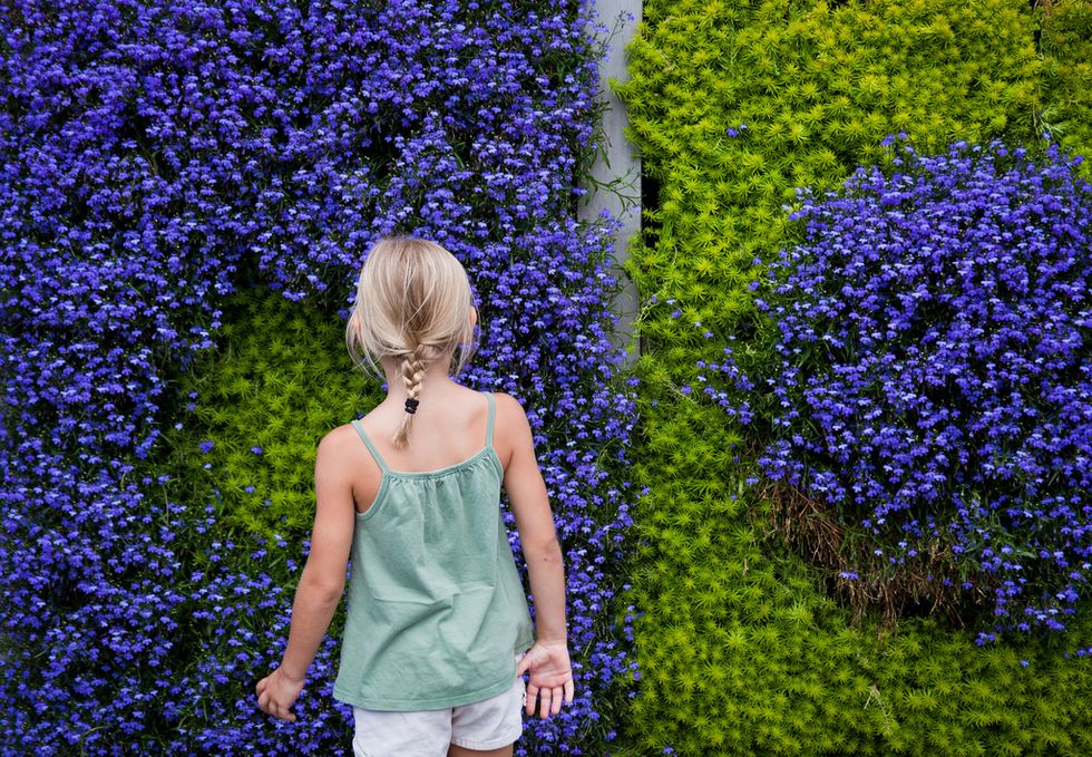 Technology Can Now Name That Mysterious Plant You’re Staring At