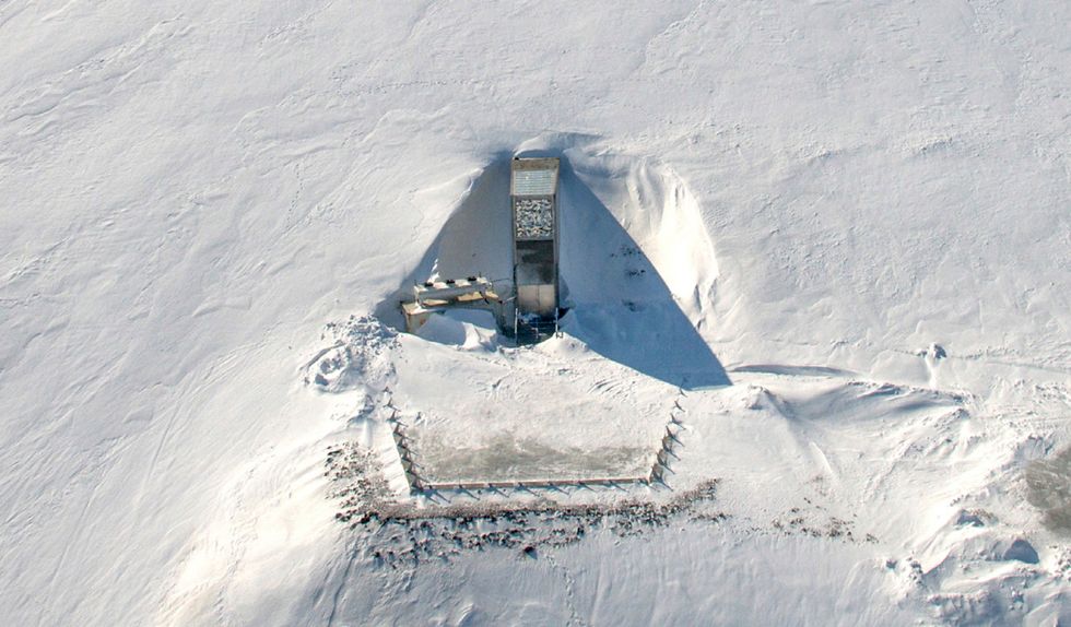 A Peek Inside The World’s Most Important Freezer