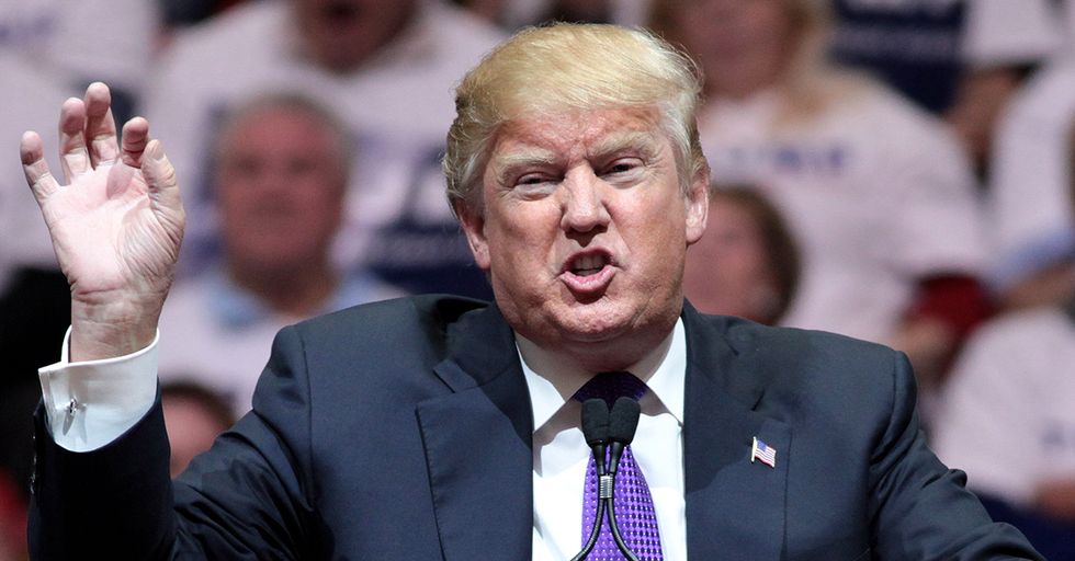 See How Trump’s Support And Opposition Would Describe Him With Just One Phrase