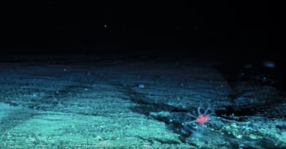 You Really Can T Imagine How Deep The Ocean Is Good You Really Can T Imagine How Deep The Ocean Is Good