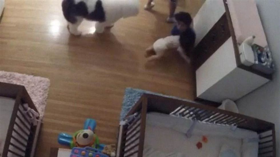 Random Act Of Sport: Heroic Big Brother Catches 11-Month-Old After Falling Off Table