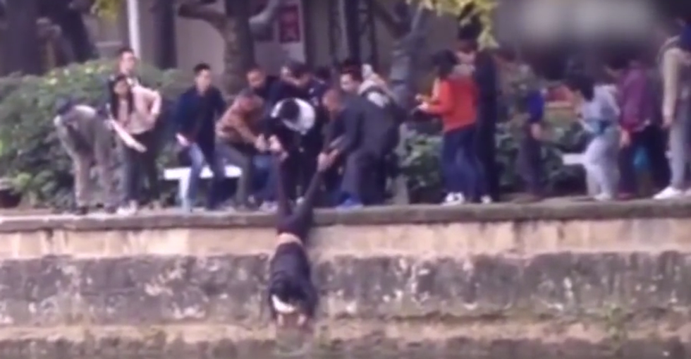 Random Act Of Sport: Bystanders Form A Human Ladder To Save Man Who Fell Into Icy Water