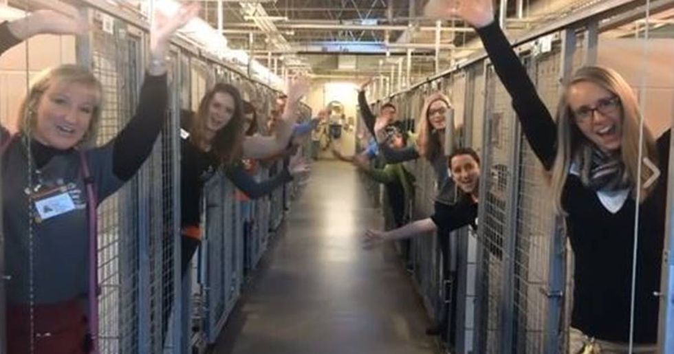 Animal Shelter Celebrates After Every Dog At Their Facility Was Adopted