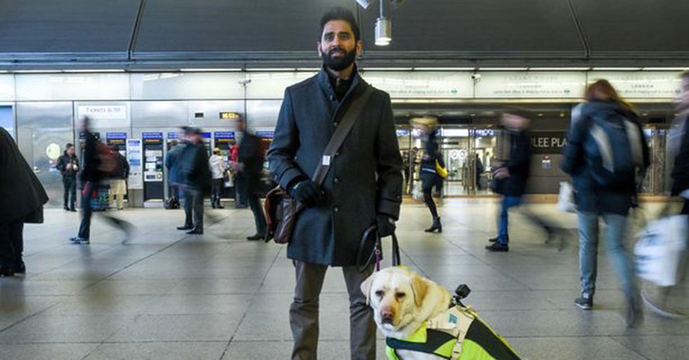 A Blind Man Put A GoPro On His Guide Dog To Show How Much Daily Abuse They Face