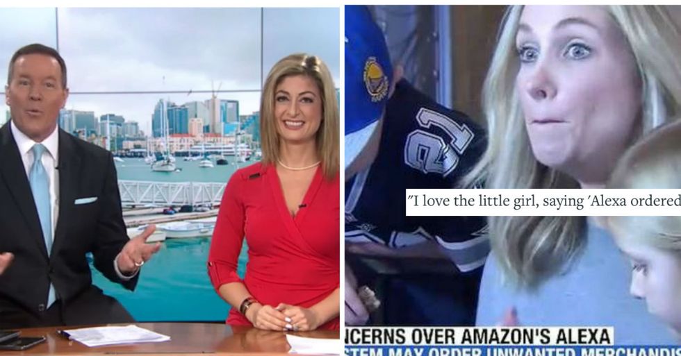 TV Anchor Accidentally Triggers Wave Of Amazon Dollhouse Purchases