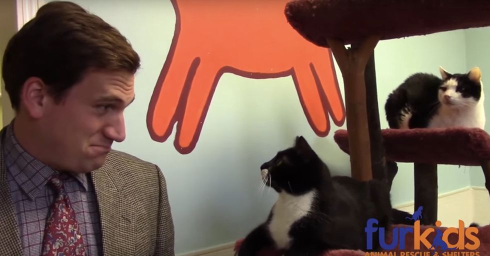 This Hilarious Low-Budget Animal Shelter Ad Proves You Don’t Need Money To Make A Big Impression