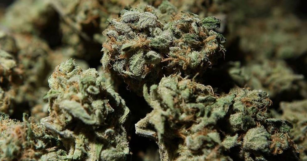 Marijuana Company Claims Its Weed Will Improve Your Sex Life