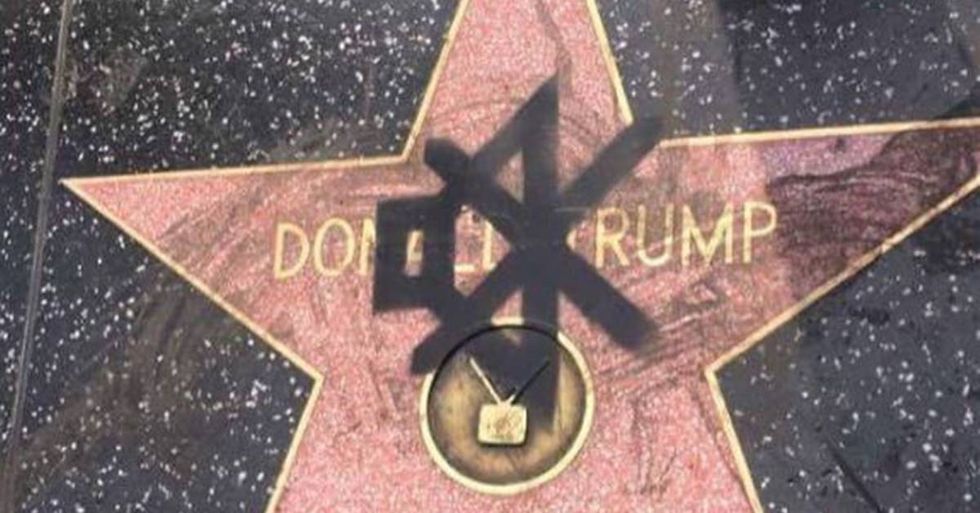 Feminist Blogger Calls For Twitter Users To Unfollow Trump On #MuteMonday