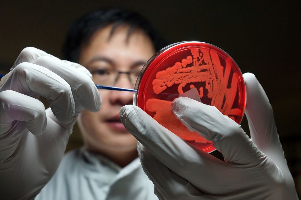 The Next Wave Of Treatment For Superbugs