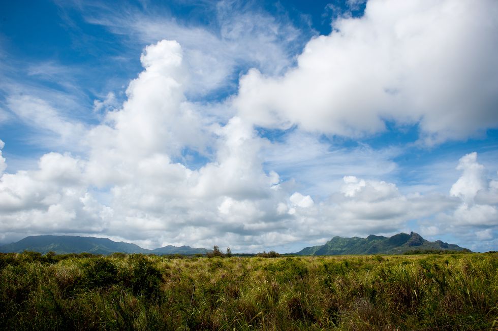A Food Desert In Paradise