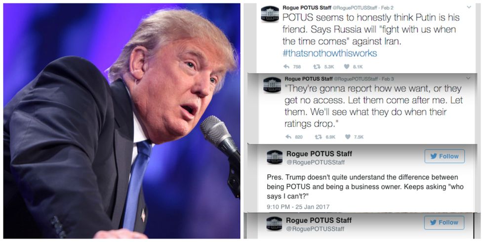 ‘Rogue’ Twitter Account Claims To Be Resistance Inside Trump’s White House