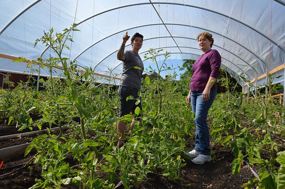 The Most Important Modern Farmer Might Be The Urban Cowboy