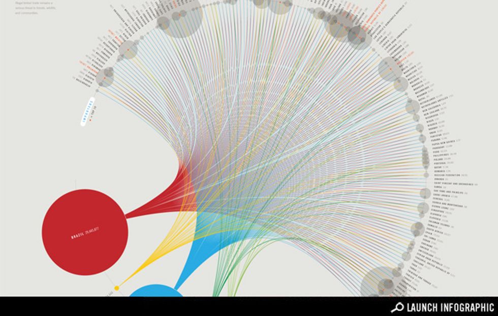 Infographic: The Global Timber Trade, Who's Buying, Who's Selling?