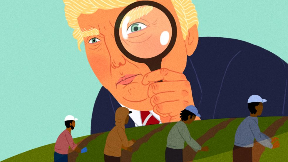 In California Farm Country, Trump’s Deportation Threat Looms Large