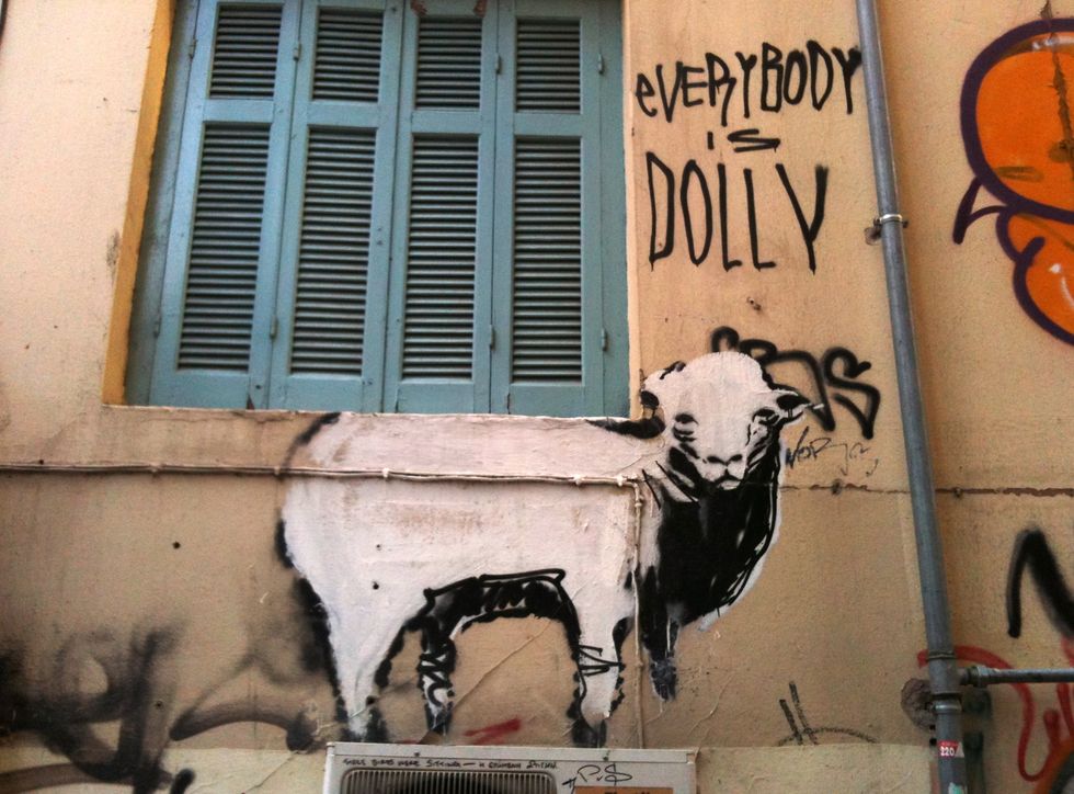 It’s Been 20 Years Since We Cloned A Sheep. Why Haven’t We Done The Same With Humans?