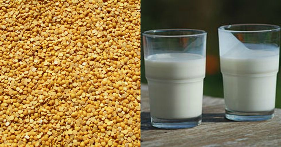 Meet The (Pea) Milk Man Fighting Big Dairy