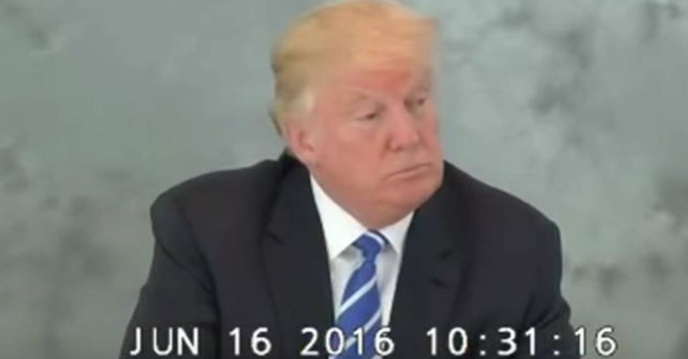 Samantha Bee Questions Donald Trump’s Literacy