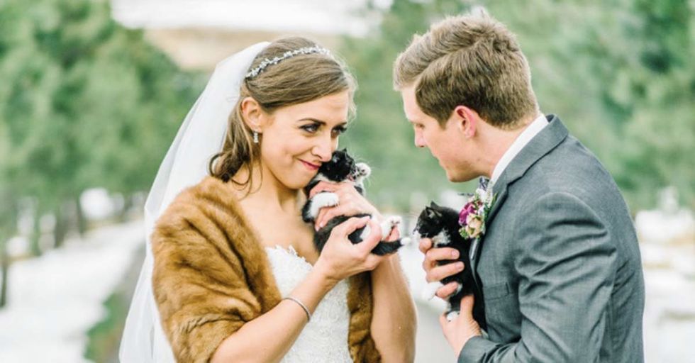 Two Vets Featured Some Furry Guests of Honor At Their Wedding, All For The Benefit Of A Rescue Shelter