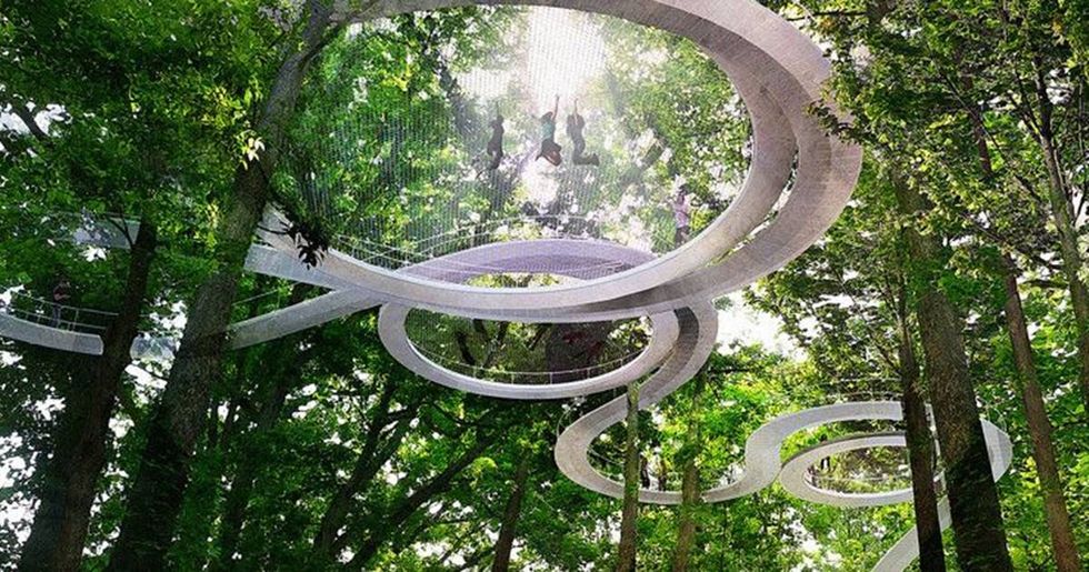 A New Park In Turkey Lets You Walk Among The Treetops