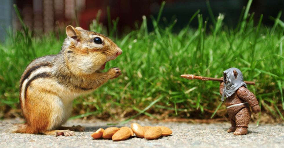 Nature Videos Have Been Lying To All Of Us, And This Video Shows Us How
