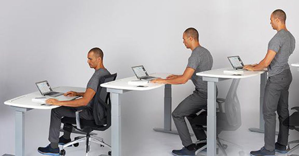 Standing Desks Can Ruin Your Productivity, Thanks To A Powerful Evolutionary Trait