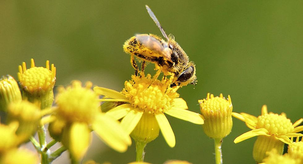 Your Allergies Might Be Worse This Year For One Big Reason