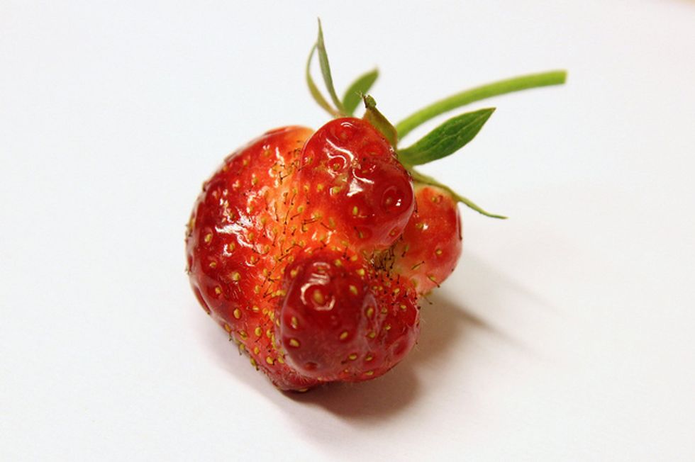 The Uglier The Fruit, The Better It Tastes: How Blemished Food Is Leading A Tastebud Revolution