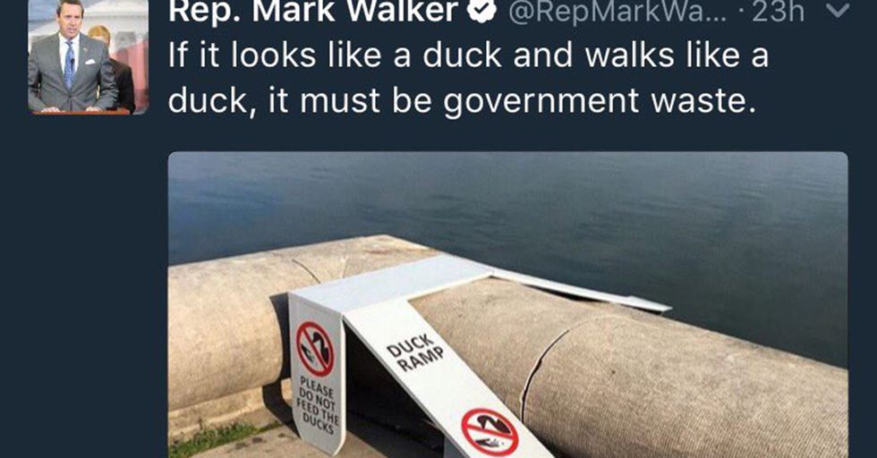 Raising The Bar For Evil Everywhere, A Politician Deemed This Ramp For Ducklings ‘A Waste’