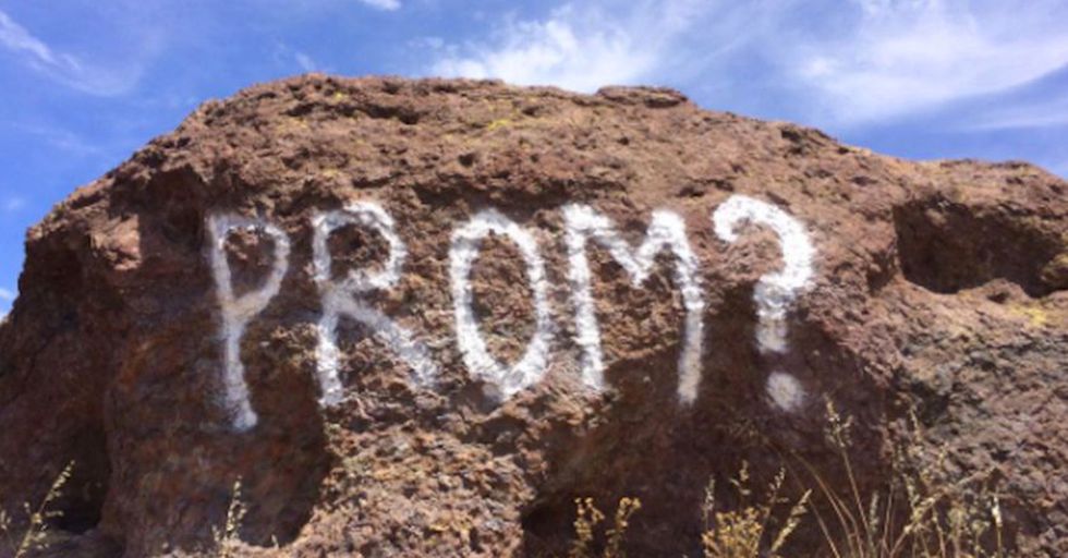 Park Officials Offer Up A Pitiful Reminder Not To Deface Nature For Your ‘Promposals’