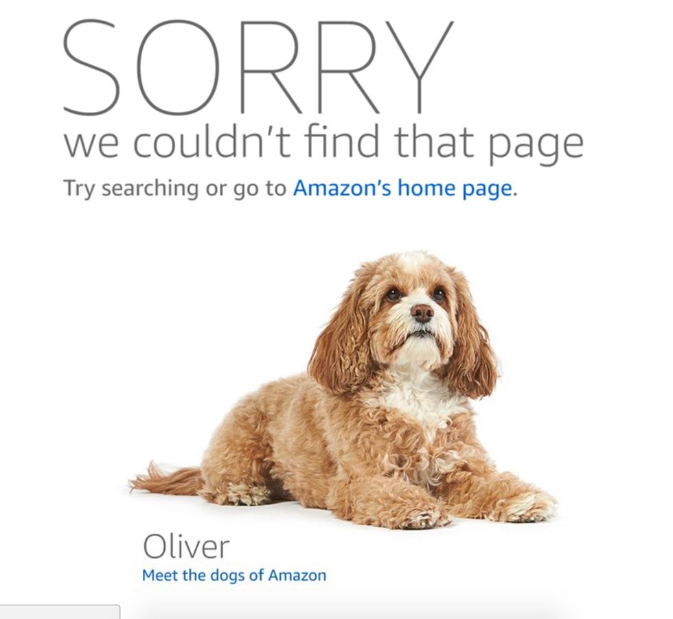 Amazon Removes The Most Offensive ‘Product’ In The History Of Things