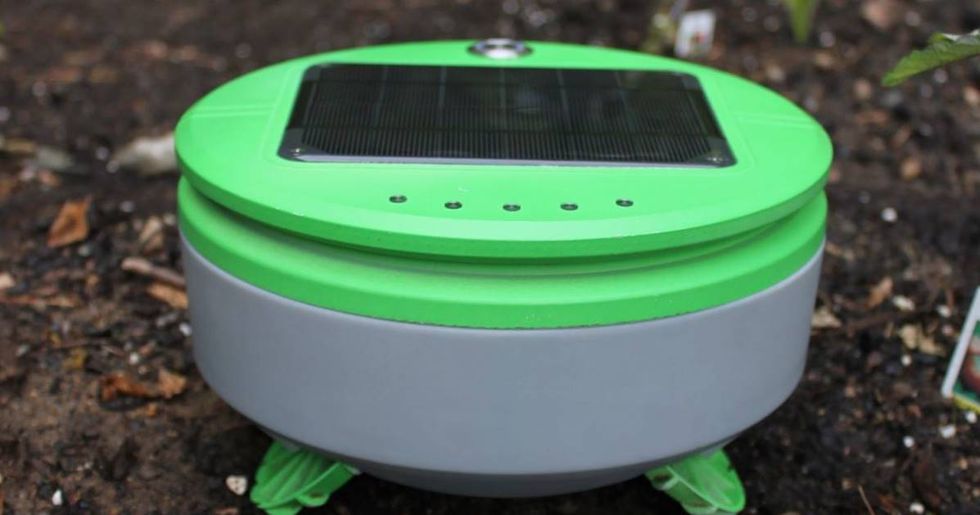 The Roomba Creator’s New Robot Automatically Weeds Your Garden
