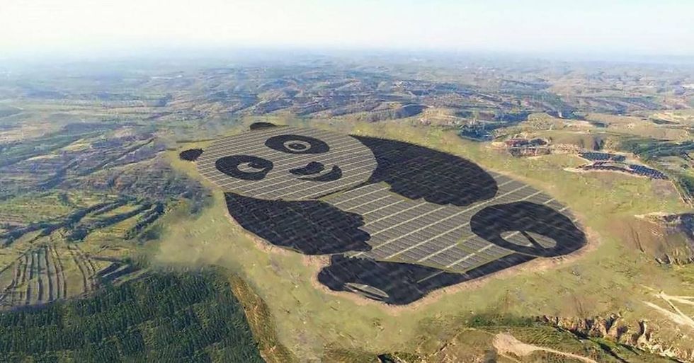 China Builds The World's First Panda-Shaped Solar Farm