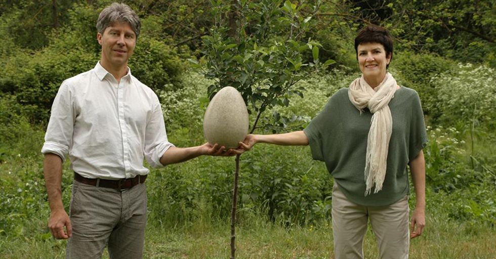 ‘Burial Pods’ Break Down Organically To Minimize Waste And Help Grow Trees