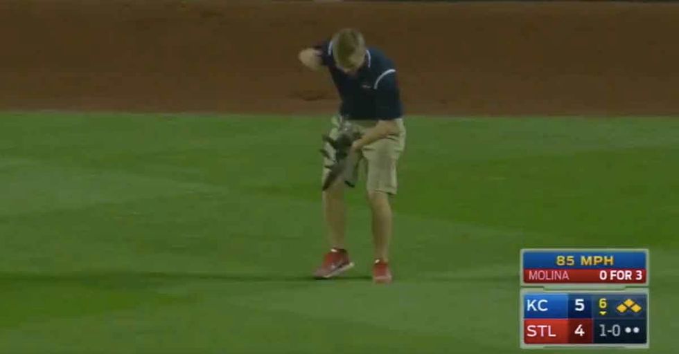 Cat Invades Baseball Game, Takes On Groundskeeper
