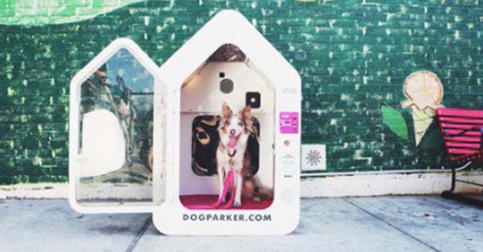 New ‘On-Demand Doghouses’ Give Urban Pet Owners Peace Of Mind — For A Small Fee