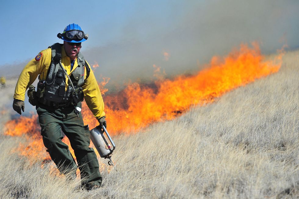 A Stunning New Paper Says We Have More Time To Prevent Climate Apocalypse Than We Thought