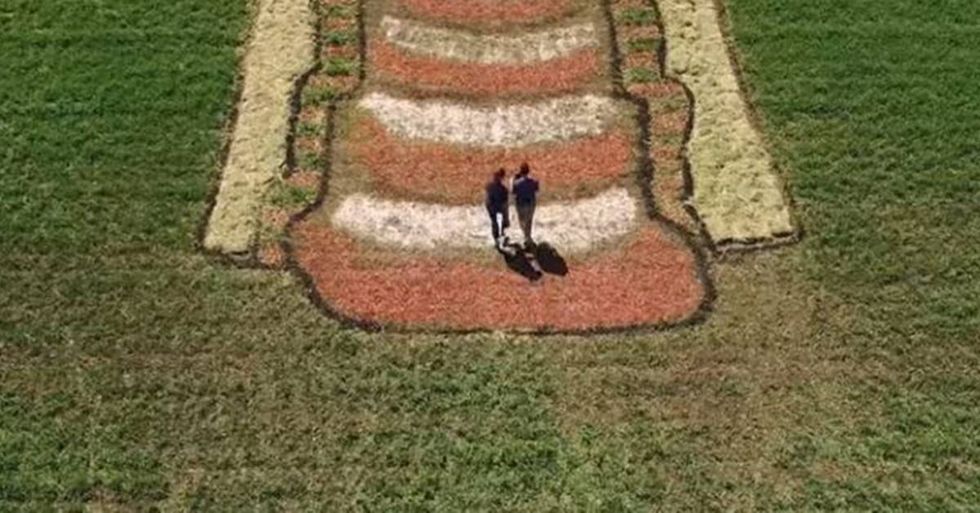 Netflix Promotes The Release Of ‘Big Mouth’ With A Two-Acre Likeness Of The Female Reproductive System